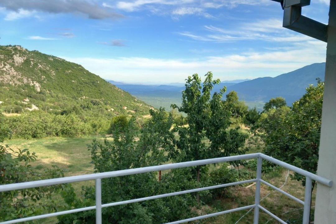 Photo of Others in Danilovgrad