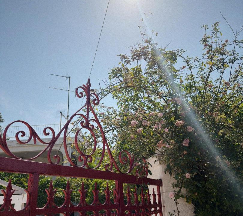 Photo of Others in Nea Makri