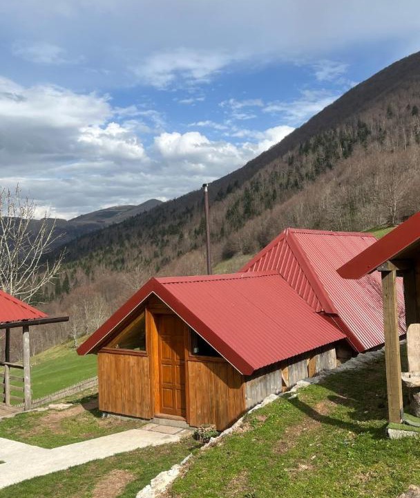 Photo of Others in Mojkovac