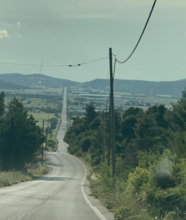 Photo of Others in Tanagra
