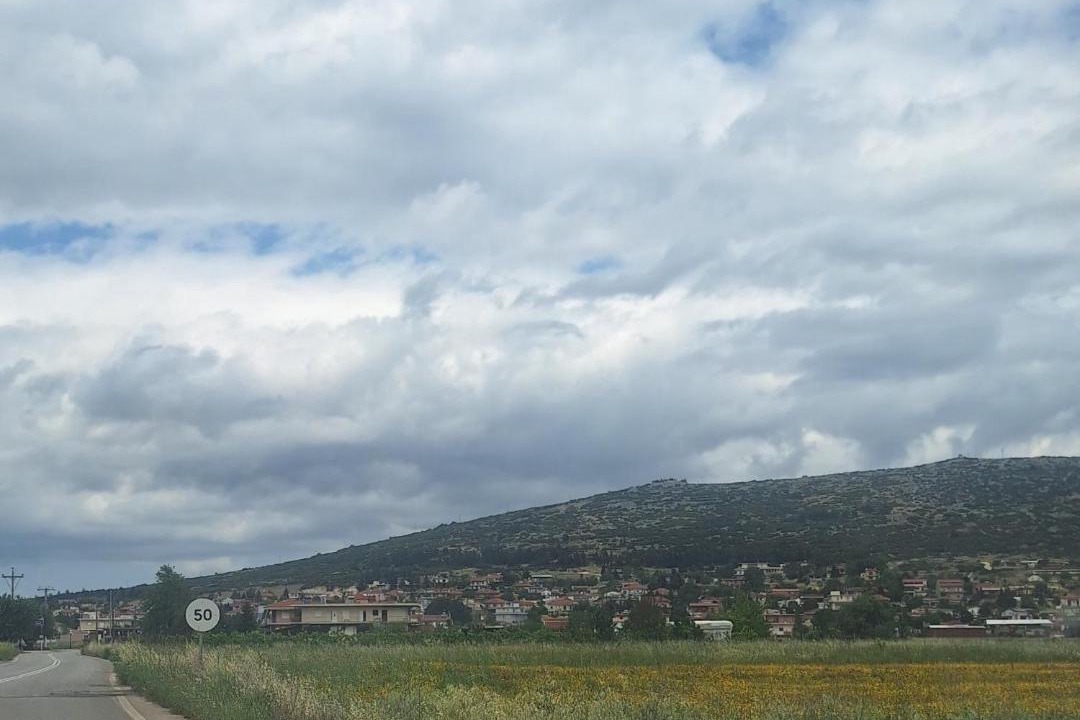 Photo of Others in Tanagra