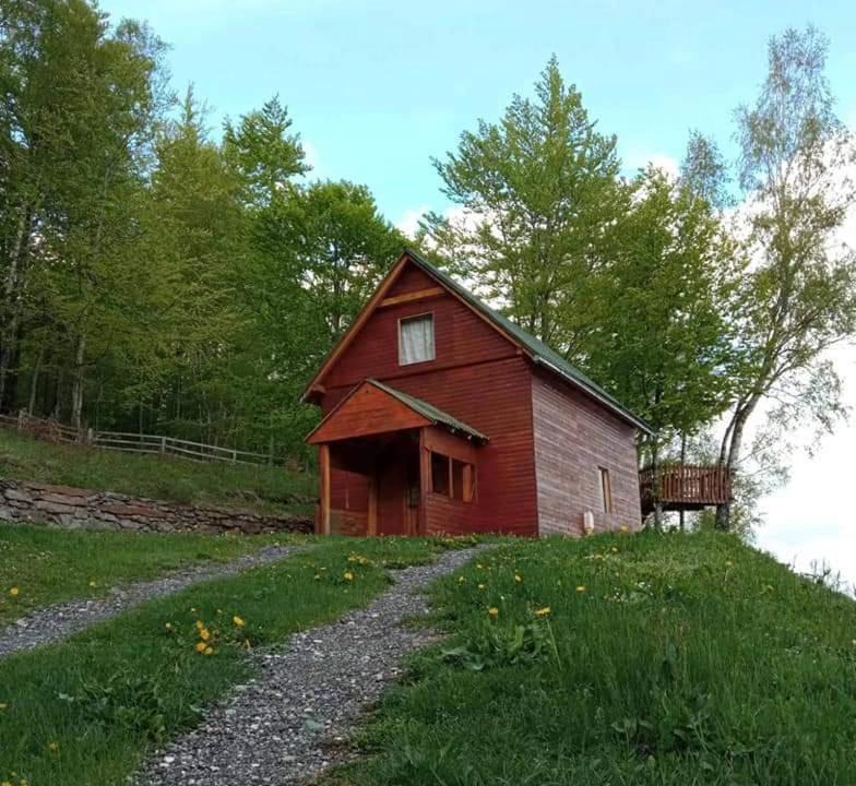 Photo of Others in Mojkovac