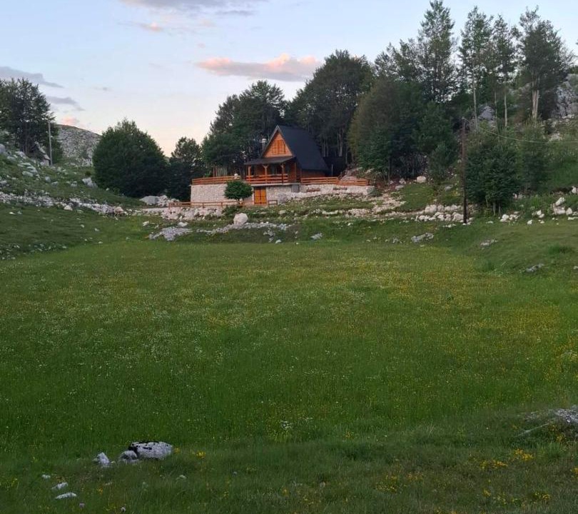 Photo of Others in Cetinje