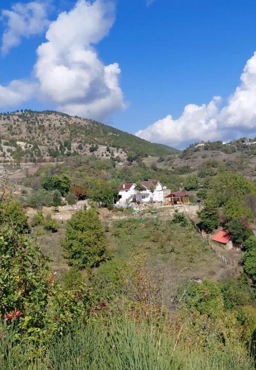 Photo of Others in Sinje