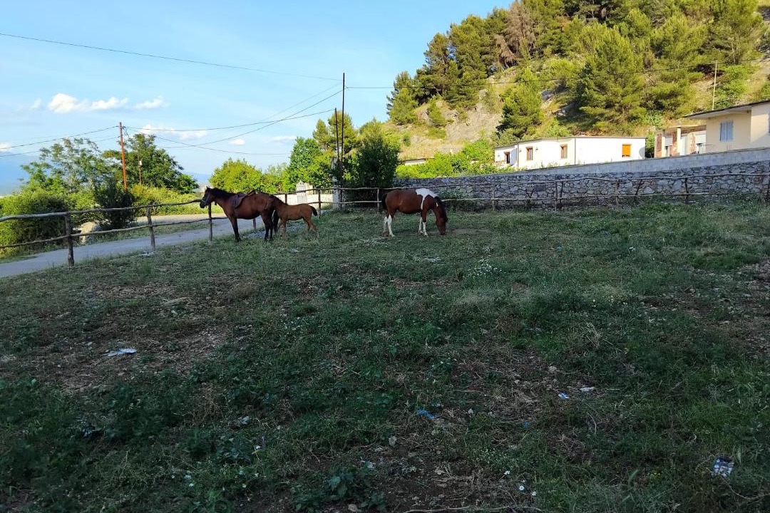 Photo of Others in Shkoder
