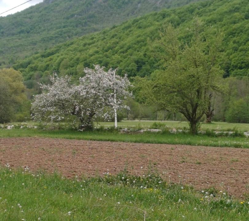 Photo of Others in Kolasin Municipality