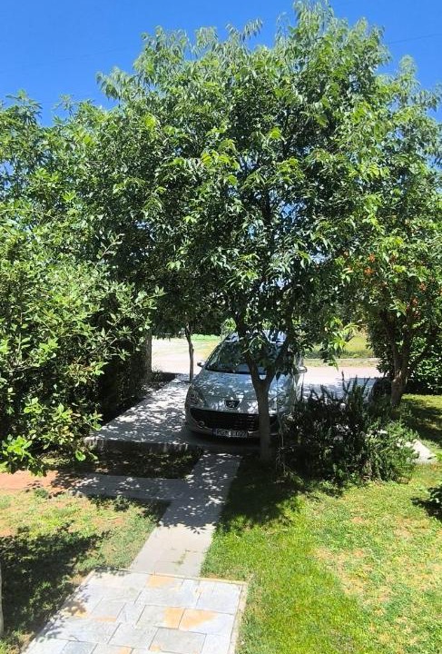 Photo of Others in Podgorica