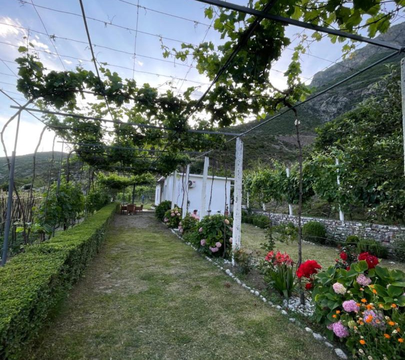 Photo of Others in Shkoder County
