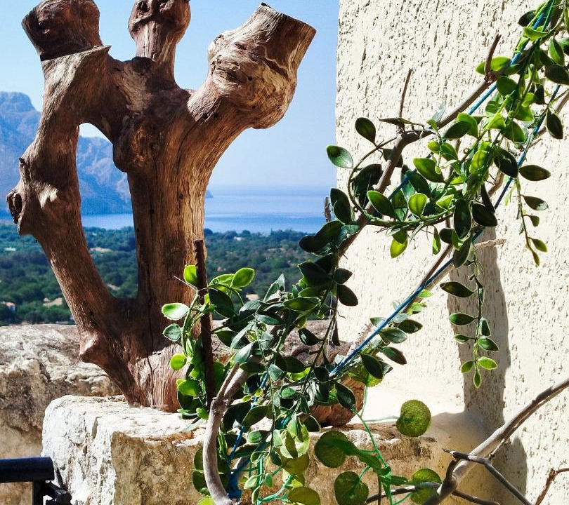 Photo of Others in Megalo Chorio