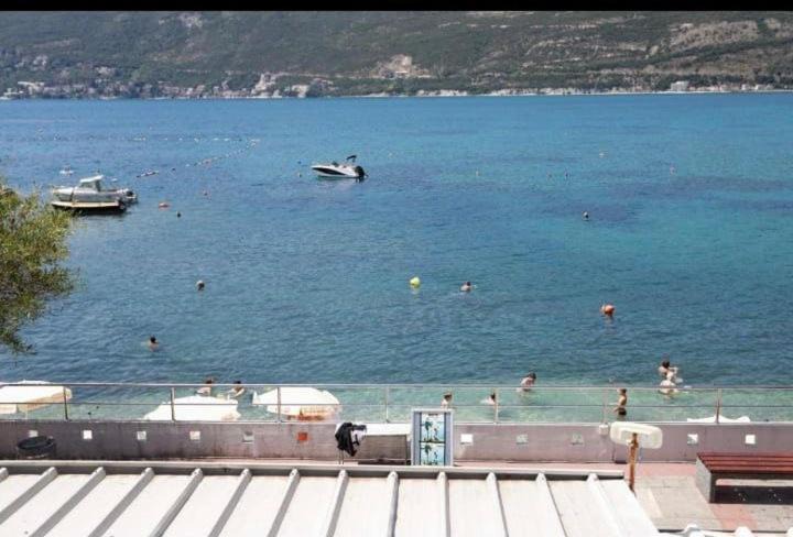 Photo of Others in Topla