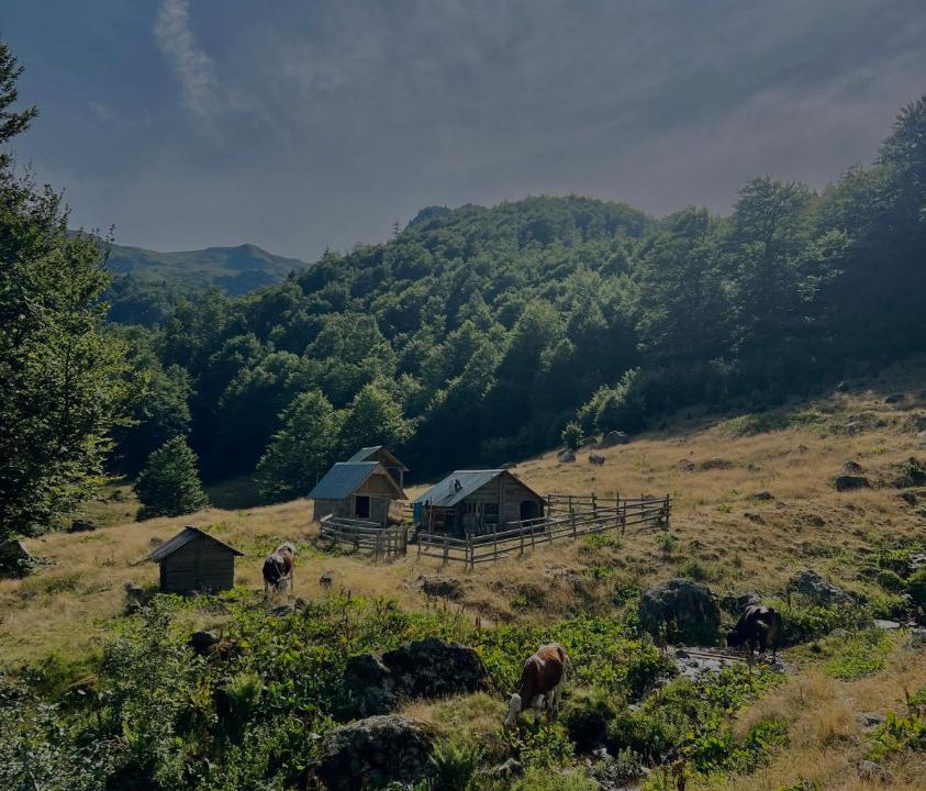 Photo of Others in Montenegro