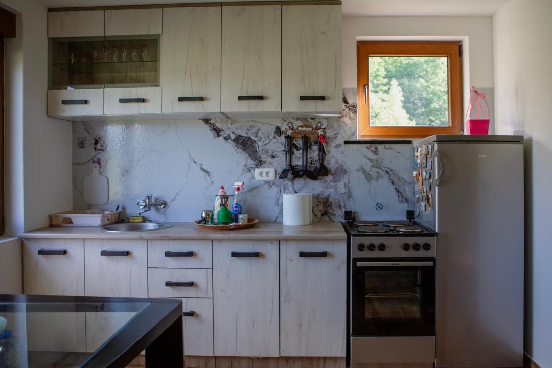 Photo of Kitchen in Pluzine