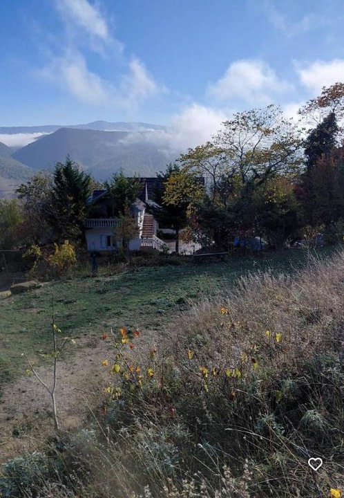 Photo of Others in Sinje