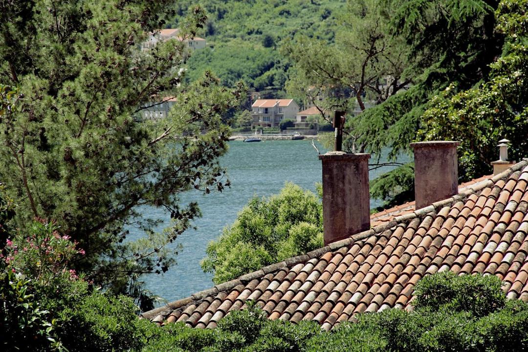 Photo of Others in Kotor