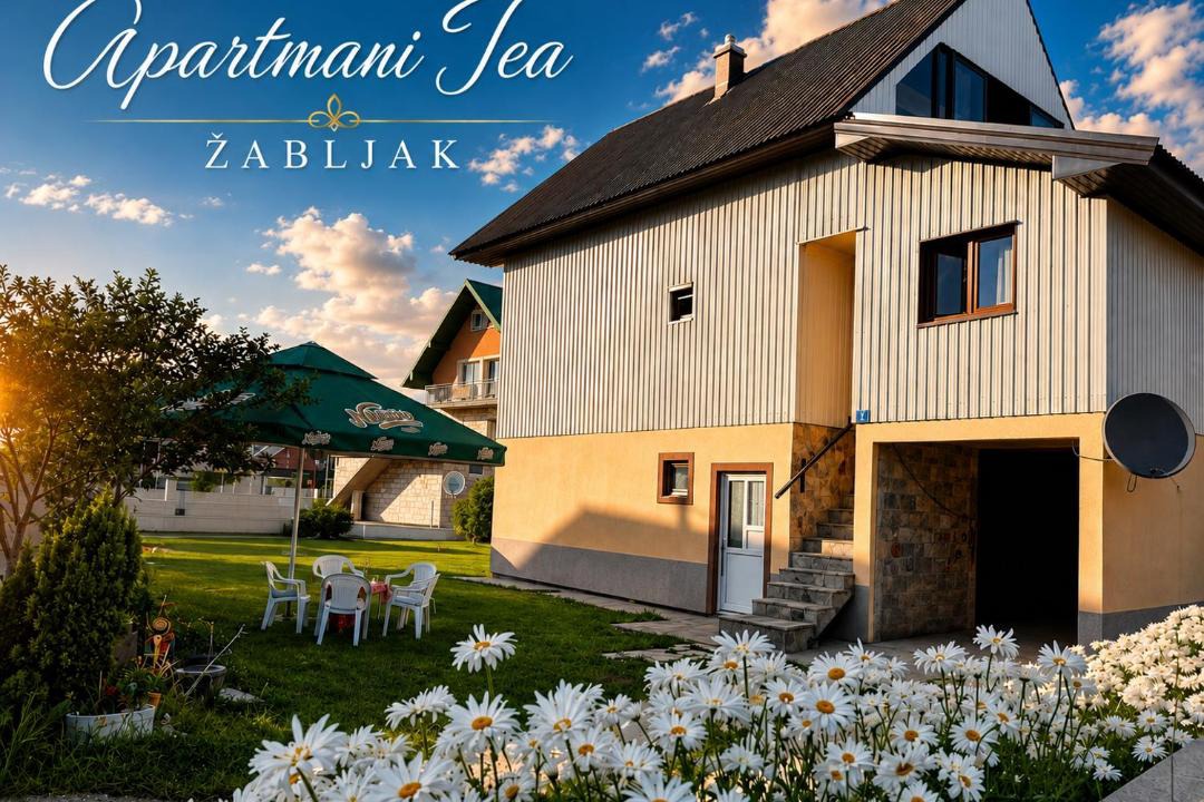 Photo of Others in Zabljak