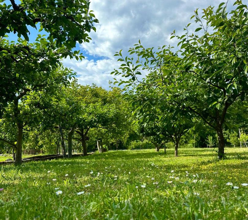 Photo of Others in Virpazar