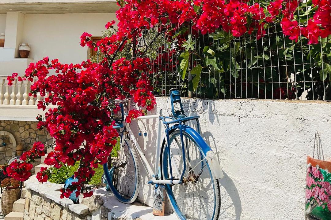 Photo of Others in Dhermi