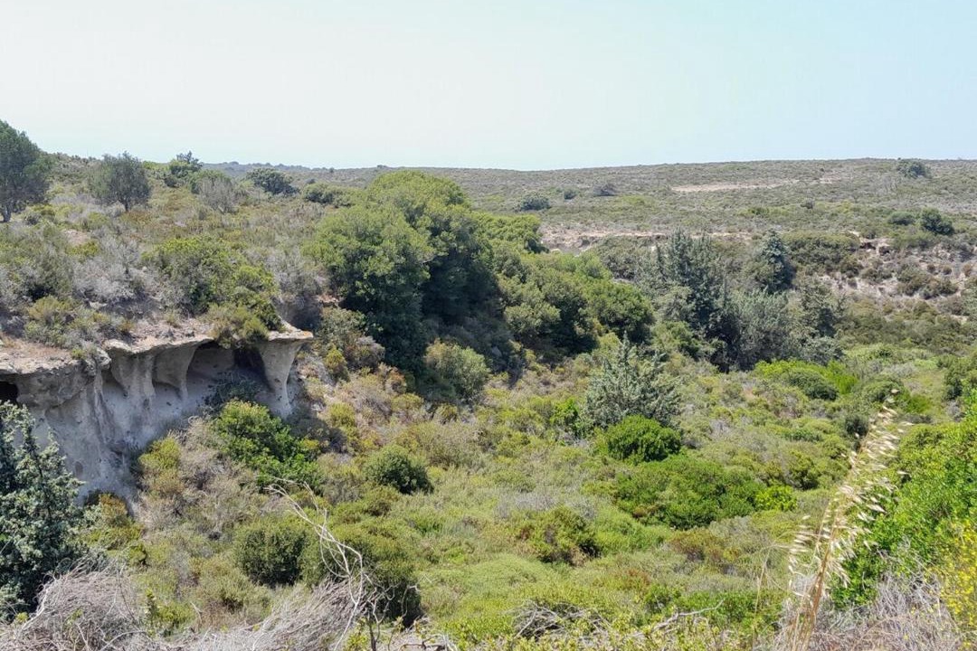 Photo of Others in Iraklides