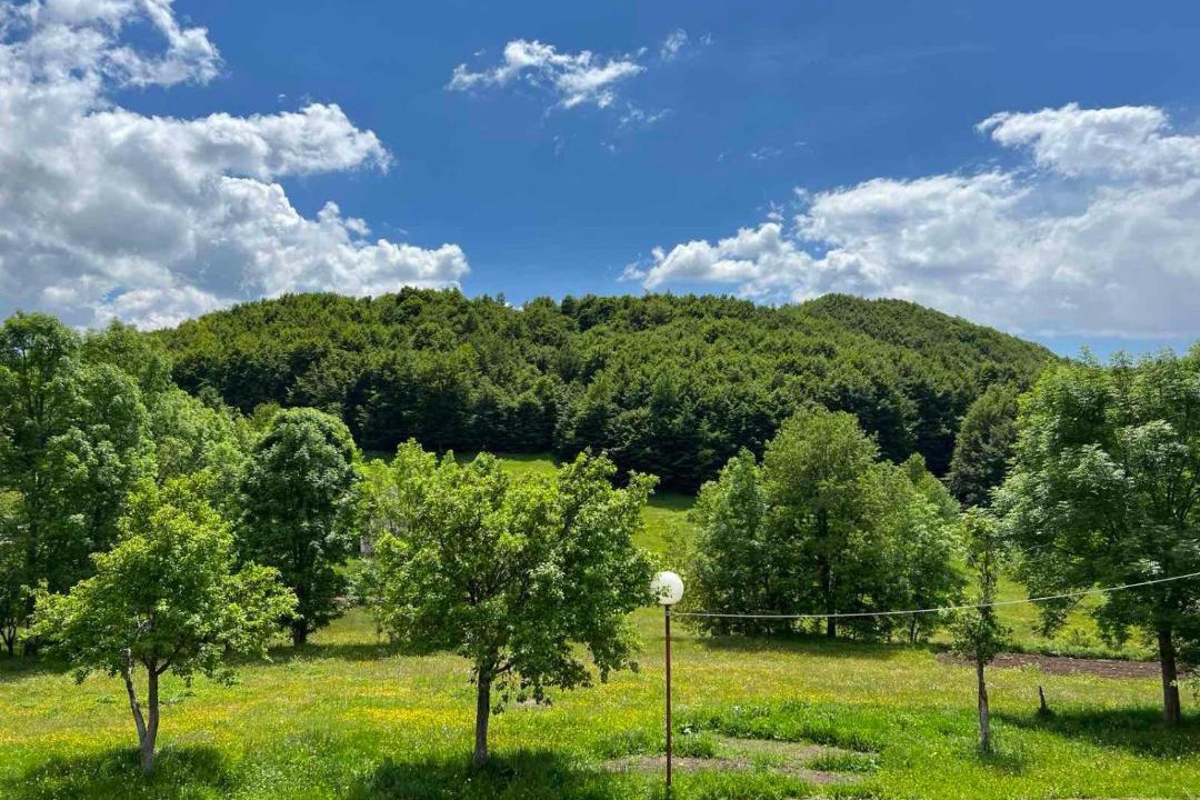 Photo of Outdoor in Savnik