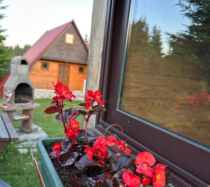 Photo of Others in Zabljak
