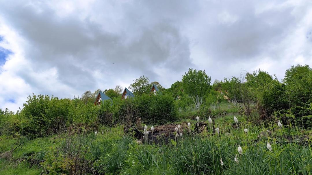 Photo of Others in Plav