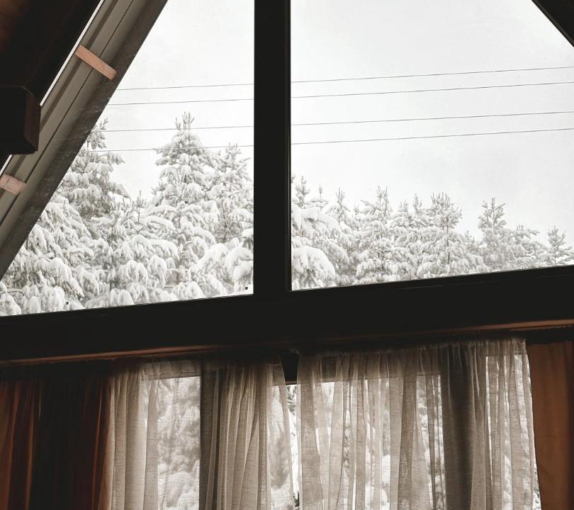 Photo of Others in Zabljak