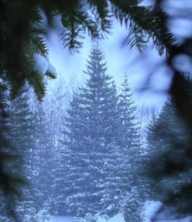 Photo of Others in Zabljak