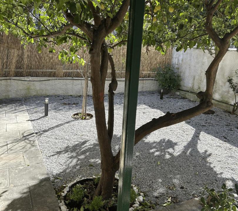 Photo of Others in Khalandrion
