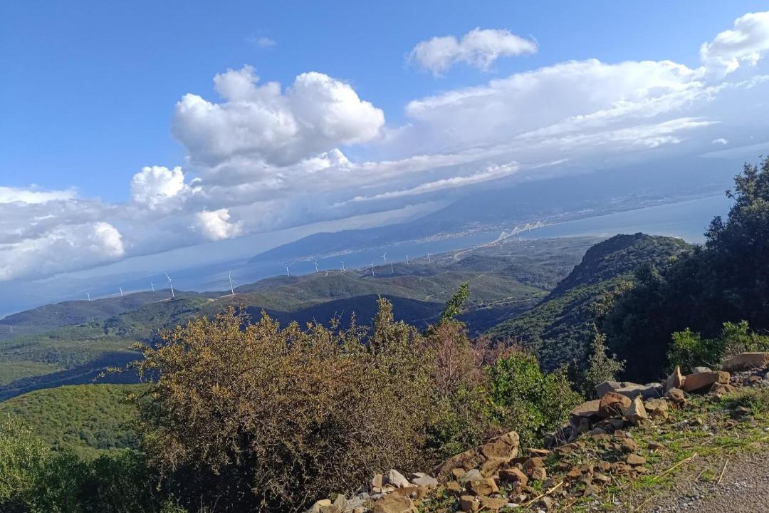 Photo of Others in Kalavrouza