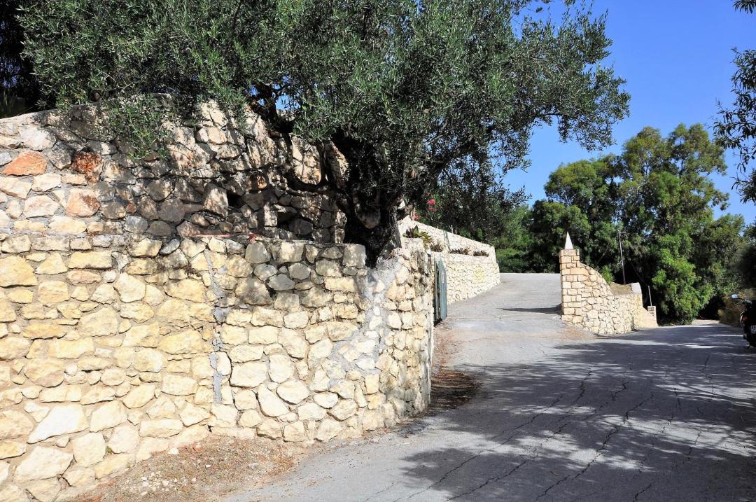 Photo of Others in Ano Vasilikos