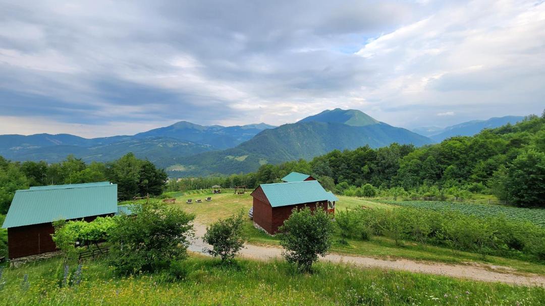 Photo of Others in Mojkovac