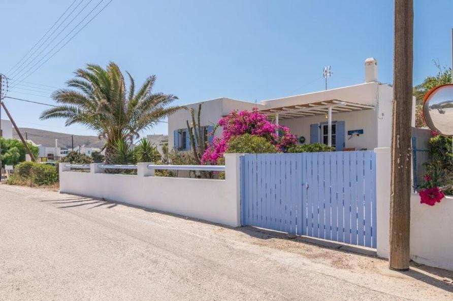 Photo of Others in Apollonia