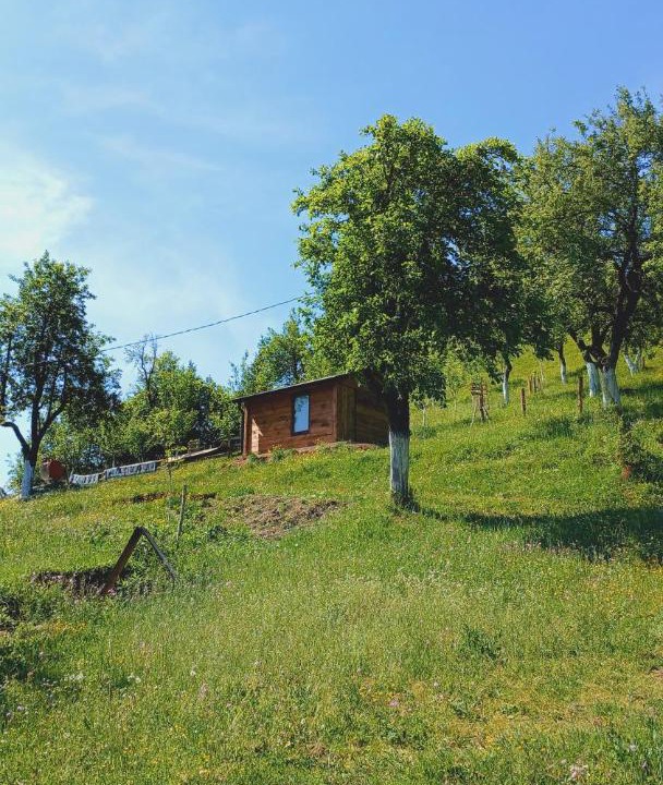 Photo of Others in Plav