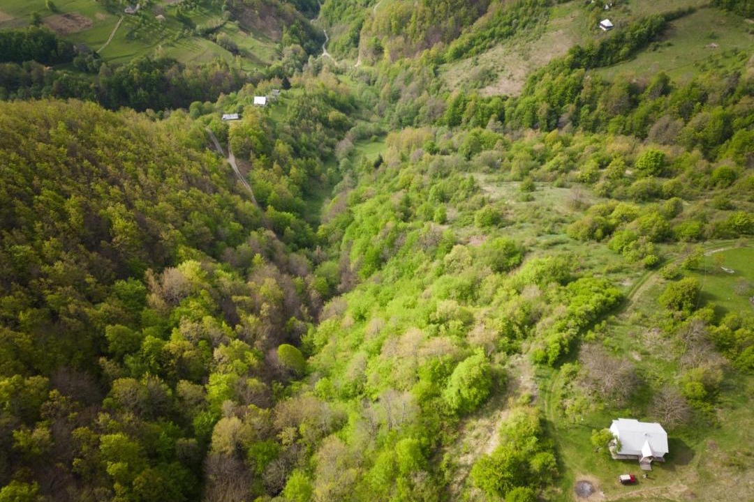 Photo of Others in Montenegro