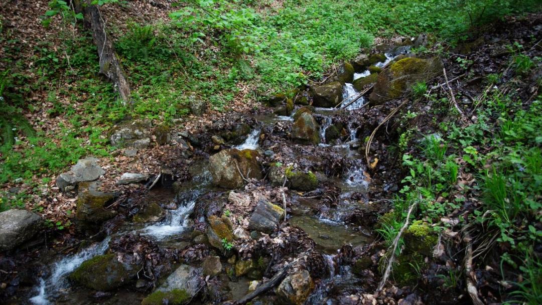Photo of Outdoor in Montenegro