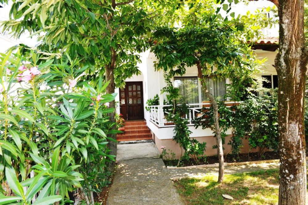 Photo of Others in Kastraki