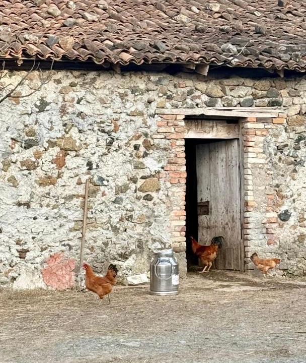 Photo of Others in Sakës