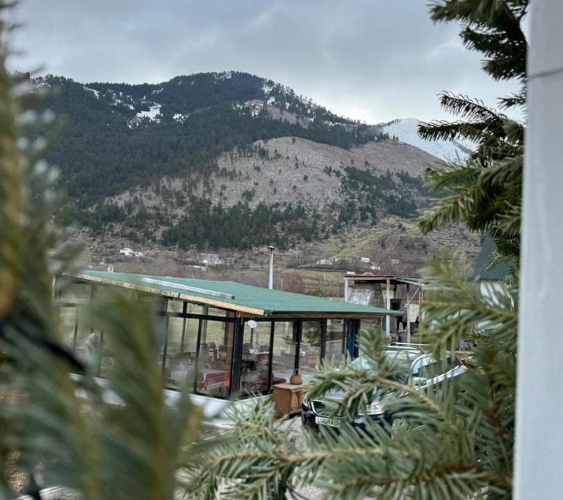 Photo of Others in Diber
