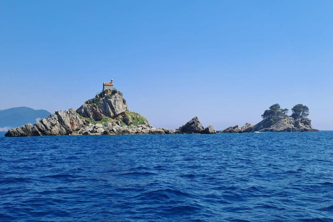 Photo of Others in Golubovci