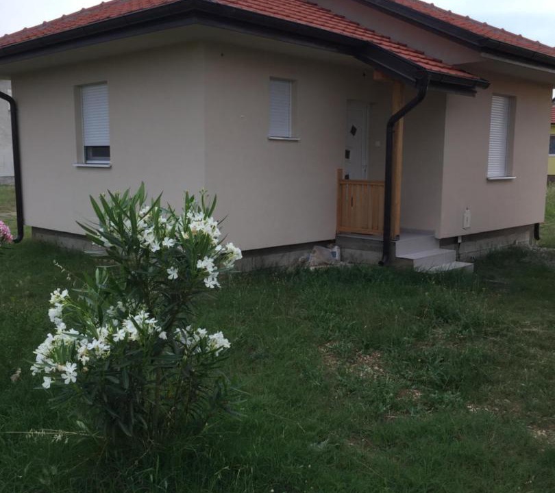 Photo of Others in Golubovci
