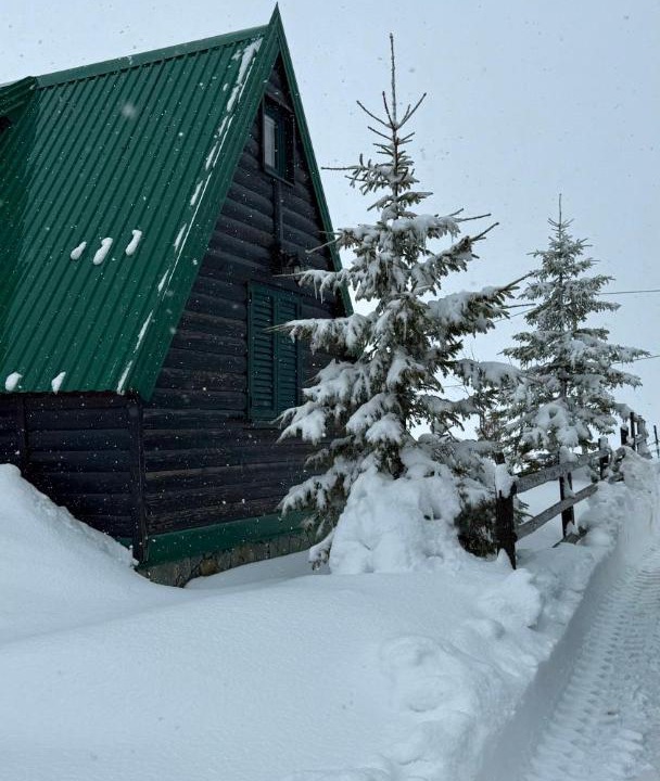 Photo of Others in Zabljak