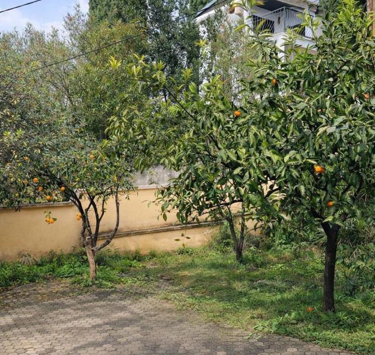 Photo of Others in Dobra Voda