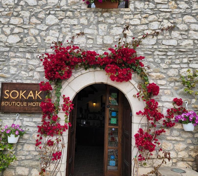 Photo of Others in Berat