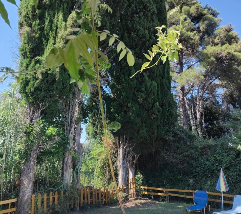 Photo of Others in Messonghi