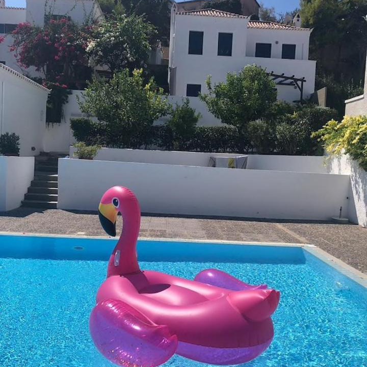 Photo of Others in Spetses