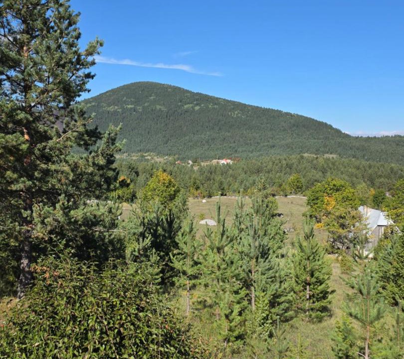 Photo of Others in Zabljak