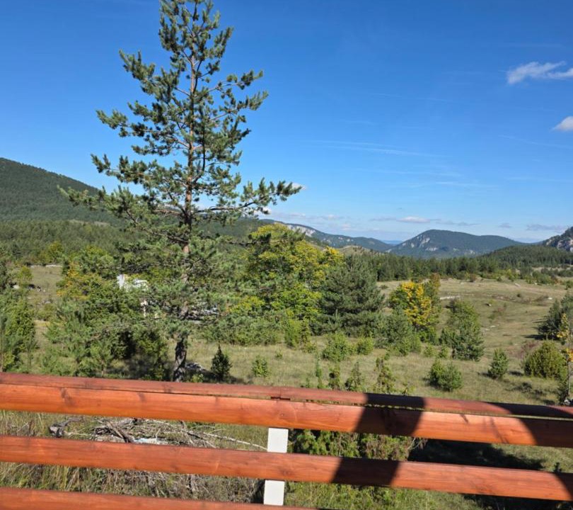 Photo of Others in Zabljak