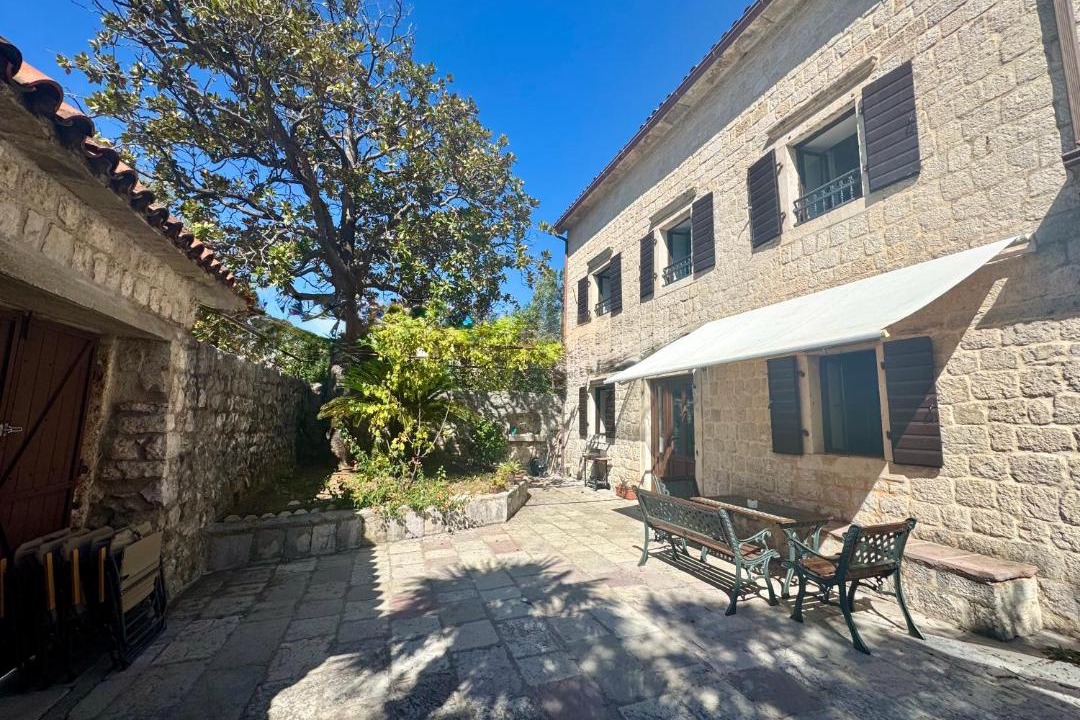 Photo of Others in Kotor