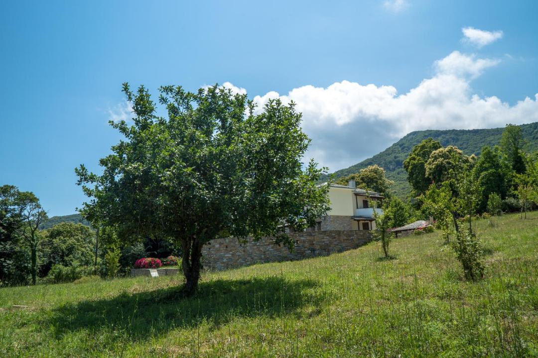 Photo of Others in Tsagarada