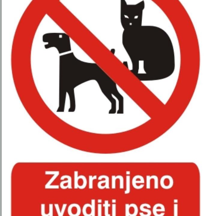 Photo of Others in Montenegro